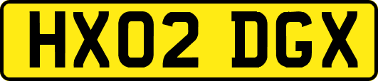 HX02DGX