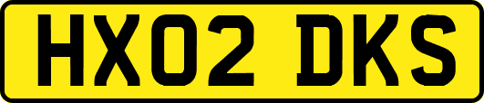 HX02DKS