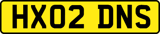 HX02DNS