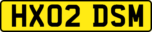 HX02DSM