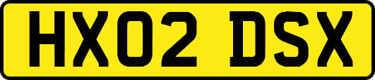 HX02DSX