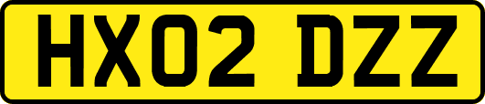 HX02DZZ
