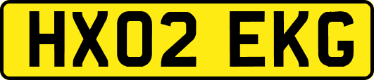 HX02EKG
