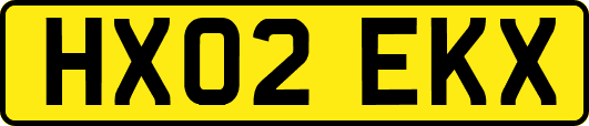 HX02EKX