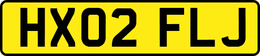 HX02FLJ