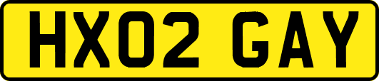 HX02GAY