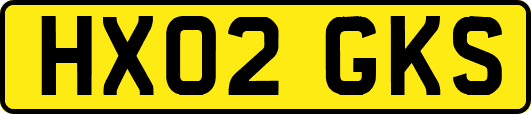 HX02GKS