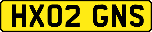 HX02GNS