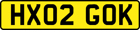 HX02GOK