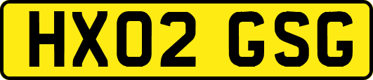 HX02GSG