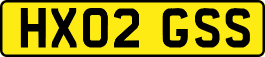 HX02GSS