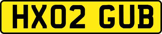 HX02GUB