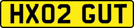 HX02GUT