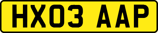 HX03AAP