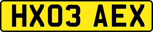 HX03AEX