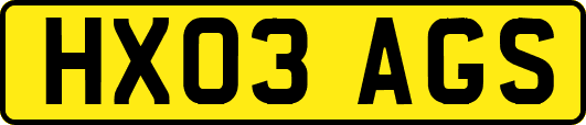 HX03AGS