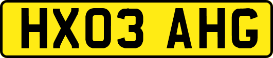 HX03AHG