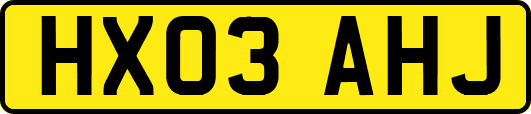 HX03AHJ