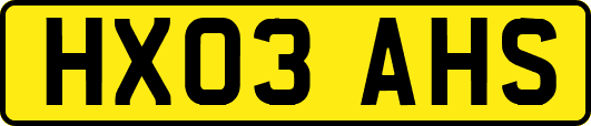 HX03AHS