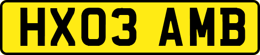 HX03AMB
