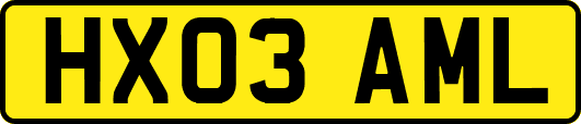 HX03AML