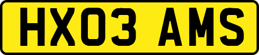 HX03AMS