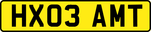 HX03AMT