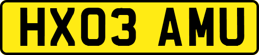HX03AMU