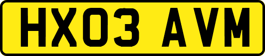 HX03AVM