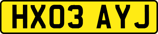 HX03AYJ