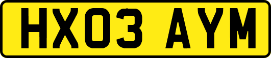 HX03AYM