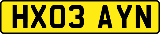 HX03AYN