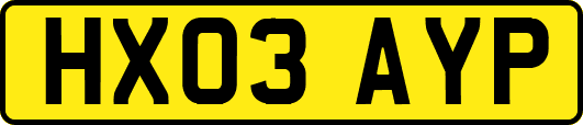 HX03AYP