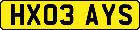 HX03AYS