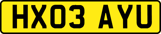 HX03AYU