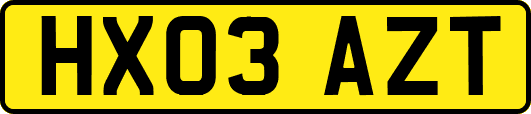 HX03AZT