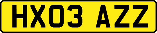 HX03AZZ
