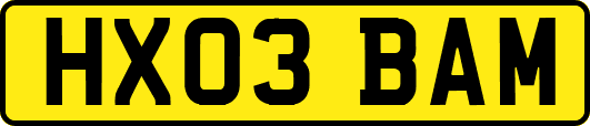 HX03BAM