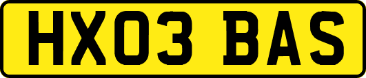 HX03BAS