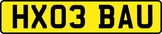 HX03BAU