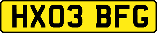 HX03BFG