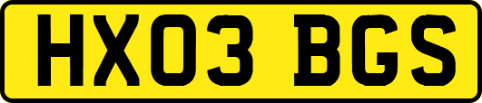 HX03BGS
