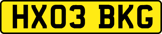 HX03BKG