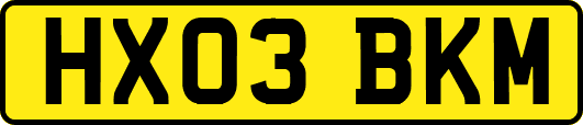 HX03BKM