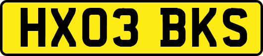 HX03BKS