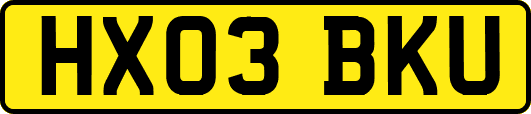 HX03BKU