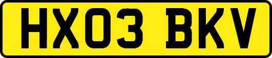 HX03BKV