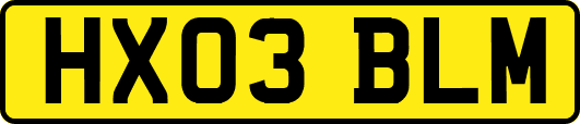 HX03BLM