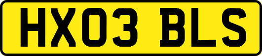 HX03BLS