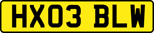 HX03BLW